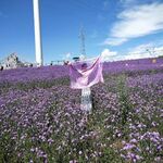 /photo/886322/生活照/psc (4)_1_1_small.jpg